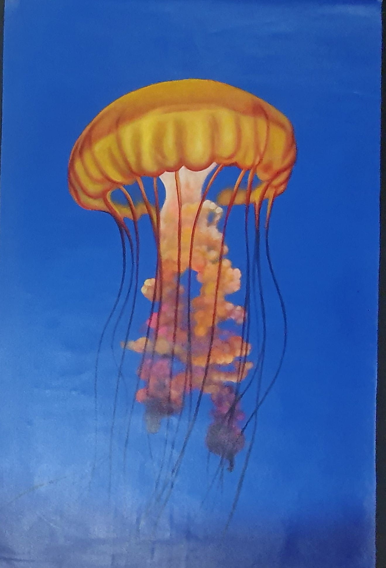 JELLYFISH IN THE PURPLE
